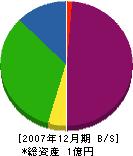 國陽 貸借対照表 2007年12月期