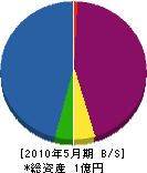 竹嘉 貸借対照表 2010年5月期