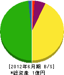 上野電気商会 貸借対照表 2012年6月期