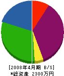岡田水道工業所 貸借対照表 2008年4月期