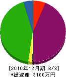 本城建材店 貸借対照表 2010年12月期