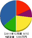 斉藤塗装工事店 貸借対照表 2011年12月期