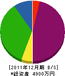 亀井看板塗装 貸借対照表 2011年12月期