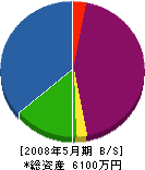 寿美設備 貸借対照表 2008年5月期