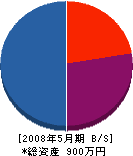 石川建設 貸借対照表 2008年5月期
