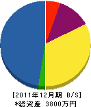 﨑村組 貸借対照表 2011年12月期