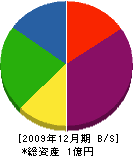 湘南メタルテック 貸借対照表 2009年12月期
