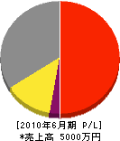 鈴木塗装店 損益計算書 2010年6月期