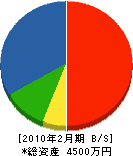 淀川電栄 貸借対照表 2010年2月期