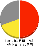 山本建設工業 損益計算書 2010年6月期