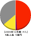 大江電気工事 損益計算書 2009年12月期