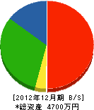 正木樹芸研究所 貸借対照表 2012年12月期