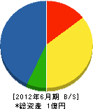 浅井組 貸借対照表 2012年6月期