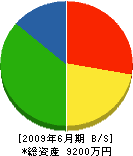 松枝興業 貸借対照表 2009年6月期