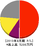 沢井電工 損益計算書 2013年4月期