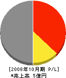 渡辺石材 損益計算書 2008年10月期