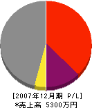 高松佐藤建設 損益計算書 2007年12月期