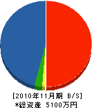 藍電 貸借対照表 2010年11月期 藍電 貸借対照表 2010年11月期