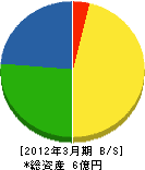 井原放送 貸借対照表 2012年3月期