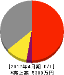 手塚電気 損益計算書 2012年4月期