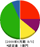 貝塚興業 貸借対照表 2008年6月期