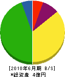 松山建設 貸借対照表 2010年6月期