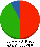 三橋工務店 貸借対照表 2010年10月期