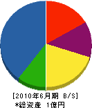 仁田脇組 貸借対照表 2010年6月期