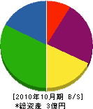 坂本工業 貸借対照表 2010年10月期