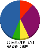三栄工業 貸借対照表 2010年3月期