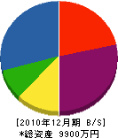 衣川製材所 貸借対照表 2010年12月期
