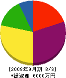 平田水道工事店 貸借対照表 2008年9月期