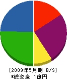 岩倉工務店 貸借対照表 2009年5月期