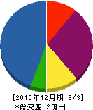 栄進建設 貸借対照表 2010年12月期