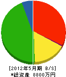 合田組 貸借対照表 2012年5月期