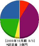 神奈川建設 貸借対照表 2008年10月期