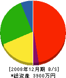 阿讃緑地 貸借対照表 2008年12月期