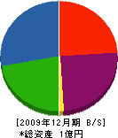横山組 貸借対照表 2009年12月期