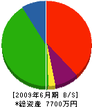 勝村塗装工業 貸借対照表 2009年6月期