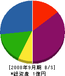 井澤組 貸借対照表 2008年9月期