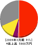 藤井電工 損益計算書 2009年3月期