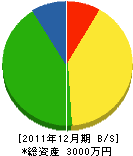 栄電社 貸借対照表 2011年12月期