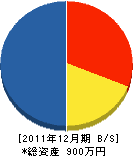 渡辺電気 貸借対照表 2011年12月期