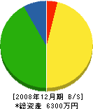 ハヤタ電気商会 貸借対照表 2008年12月期