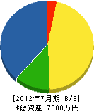 佐川電機商会 貸借対照表 2012年7月期
