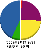 大津工業 貸借対照表 2009年3月期