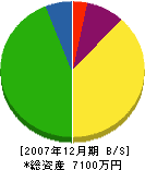 三陽新設 貸借対照表 2007年12月期