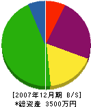 辻電工 貸借対照表 2007年12月期