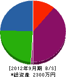 辻電業社 貸借対照表 2012年9月期