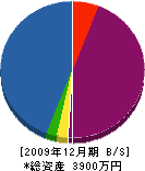山﨑建設 貸借対照表 2009年12月期